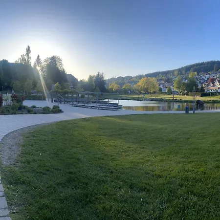 Schwarzwald-idylle In Schonach