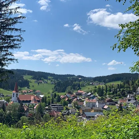 Schwarzwald-idylle In Schonach Apartment
