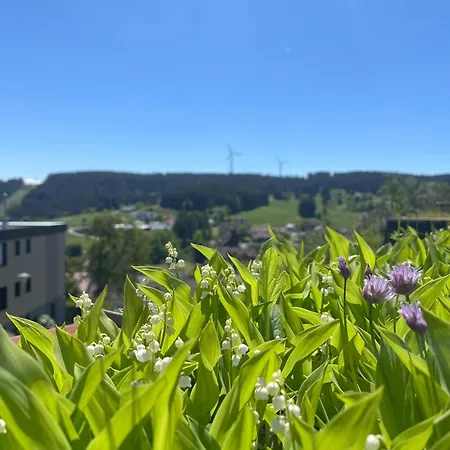 Apartment Schwarzwald-idylle In Schonach