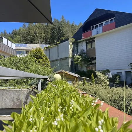 Schwarzwald-idylle In Schonach Apartment